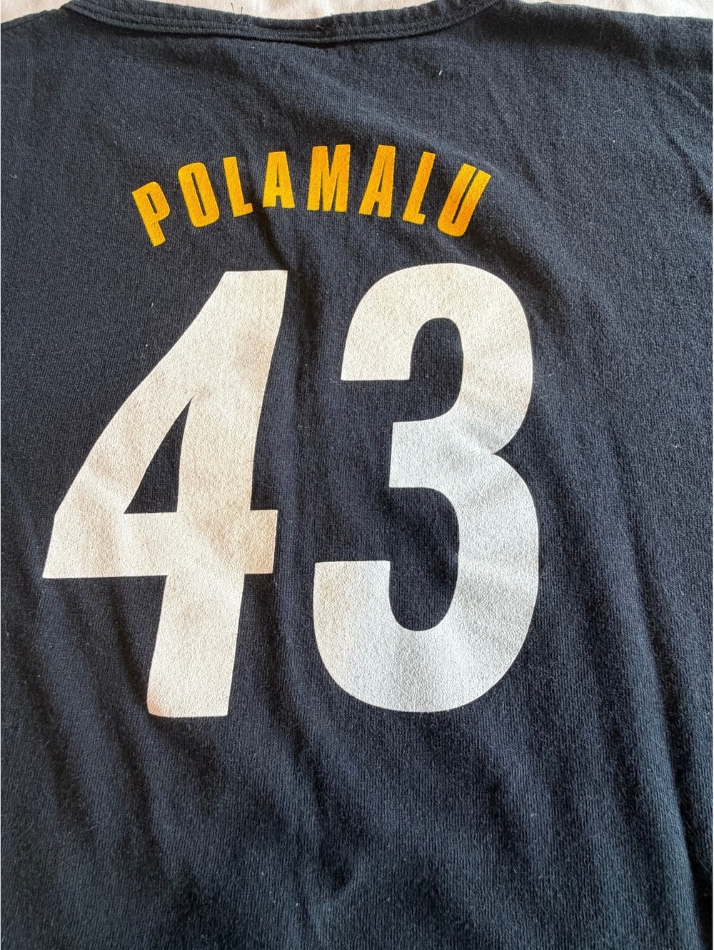 Troy Polamalu Pittsburgh Steelers Number 43 Black Graphic T-Shirt